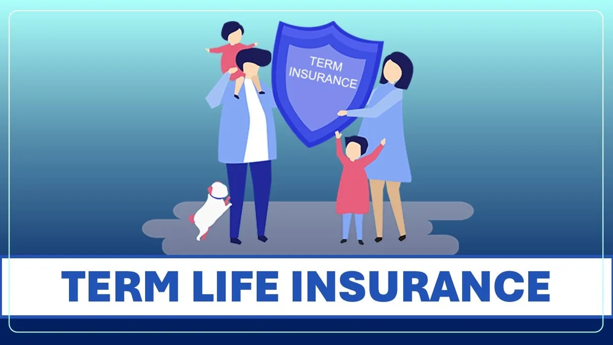 Term Insurance Offer